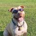 Robyn Van Winkle - Facebook