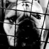 Robin Velazquez - @robinvelazquez - TikTok