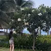 Võ Thị Nhung - @robinavenable - TikTok