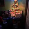 Robin Vester - @robin.vester5 - TikTok