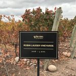 Robin Lauder Vineyards - @robin.lauder.vineyards - Instagram