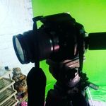 robin_msm_vines - @robin_msm_vines - Instagram