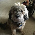 Robin Walls - @rockinrobinsroost - Instagram