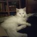 Robin Wanless - Facebook
