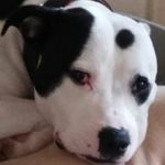 Robin Waterman - @waterman2429 - Instagram