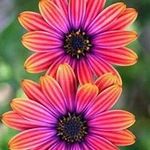 Robin Glenn - @robinwehmeyer3 - Instagram