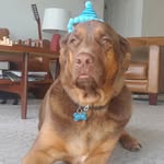 Robin Wellman - @wellman22 - Instagram