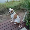 Robin Welsh - @robin.welsh3 - TikTok