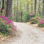 Robin Ann - @robin.westbrook.52 - Instagram