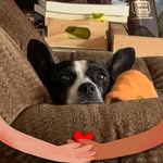 Robin Kinney Westbrook - @liberaloldlady - Instagram