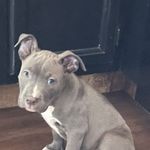 Robin Westerfield - @countygirl183 - Instagram
