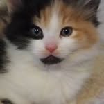 Robin Wetherbee - @robinwetherbee - Instagram