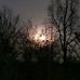 Robin Whittington - Facebook