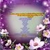 Robin Wideman - Facebook