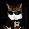 nejsan - @robinwinter_ - TikTok