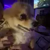 Robin Winter - @robin.winter - TikTok