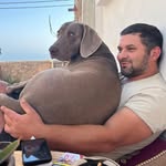 Robin Wirth - @r.o.e.b.s.c.h.e - Instagram