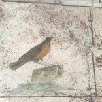 Robin Witt - @robin.g.witt - Instagram