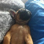 @robinwitt - Instagram