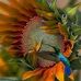 Robin Thornton-Wojcik - Facebook