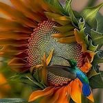 Robin Thornton-Wojcik - @thorntonwojcik - Instagram