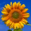 Robin Worley401 - @user049866444 - TikTok