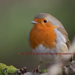 Robin Worley - @robinworley50 - Instagram