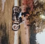 Robin Worrell - Facebook