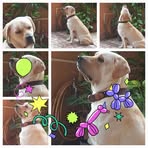 Robin Wylie - Facebook