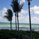 Robin R Yager - @robinyager - Instagram