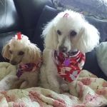 Robin Yager - @role.ya - Instagram