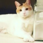 Robin Yager - @mini_g_and_b2 - Instagram