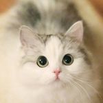 Robin Yoon - @ro13innn - Instagram