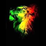 robin young - @she2isgreen - Instagram