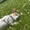 Robin Young - @taylor.2882 - TikTok
