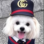 🐾ゆずくん🍊 - @robin.yuzu - Instagram
