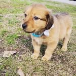 Robinson Smith - @robinsonsmith4870 - Instagram