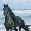 Robles Perez - @robles.perez - TikTok