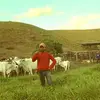 Robson Reis - @robson.reis66 - TikTok