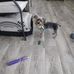 Robin Arnett - Facebook