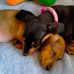 Robyn Baldwin - Facebook