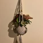 Robyn Bartlett - @knots_about_macrame_ - Instagram