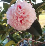 Robyn Barton - Facebook