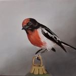 Robyn Barton - @robyn.barton.752 - Instagram