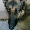 Robin Beal - @robin.beal4 - TikTok
