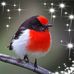 Robyn Beale - Facebook