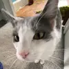 Robyn_ - @robyn_bean - TikTok