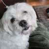Robyn - @robynbeans - TikTok