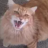 robynbooker241 - @robynbooker241 - TikTok