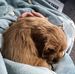 Robyn Bowden - Facebook